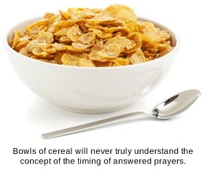 Picture of Bowl Of Cereal